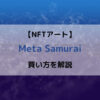 Meta Samurai